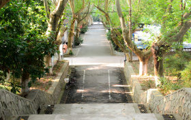 2025年南京林业大学录取分数线（全国各省汇总）