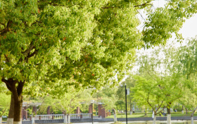 上海市985大学有哪些学校？附录取分数线排名（2026年参考）​
