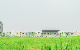 2025年山东公费师范生录取情况汇总表（含录取分数线）