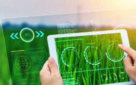 山东省公费农科生前景怎么样？附就业方向、2025年录取分数线