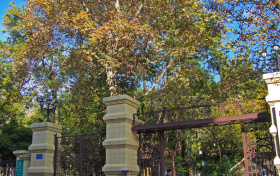 2026云南高考志愿代码是多少？附院校和专业代码一览表