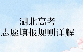 2026年湖北高考志愿填报规则详解：家长必看！45个志愿填准=多考15分！​