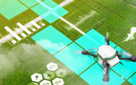 2026年山东公费农科生招生计划及录取分数线（附报考流程）