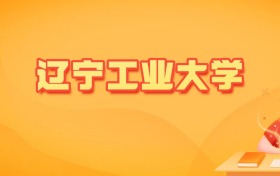 2026年辽宁工业大学各专业录取分数线及位次（物理类41个、历史类6个）