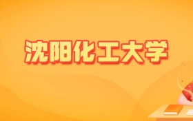2026年沈阳化工大学各专业录取分数线及位次（物理类31个、历史类6个）