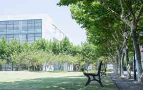 2025年四川地方优师专项计划分数线（含录取专业最低分）