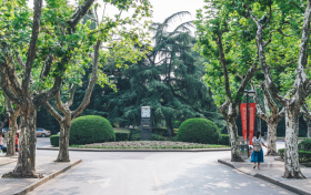 上海高考多少分能上211大学？附2025年211高校在上海录取分数线一览表