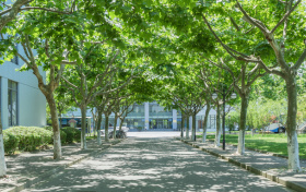 天津高考多少分能上211大学？附2025年211高校在天津录取分数线一览表