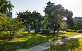 上海高考多少分能上985大学？附2025年985高校在上海录取分数线一览表