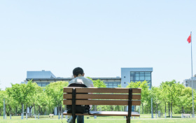 广东高考多少分能上211大学?附2025年211高校在广东录取分数线一览表