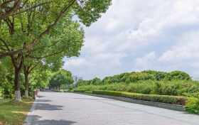 2026年山东3+2专本贯通学校有哪些？附2025录取分数线