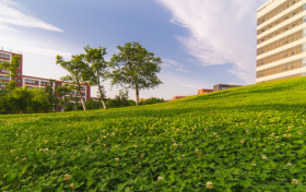 2026年湖南新高考志愿填报规则!附冲稳保比例+志愿填报样表