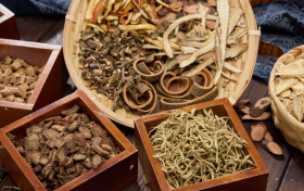 中药学专业就业方向及前景:女生适合学吗?