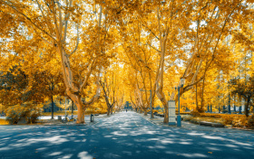 天津市大学就业率排名前十！就业前景好的本科学校推荐