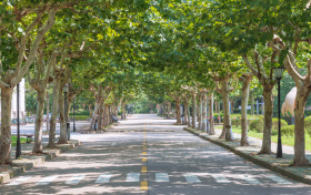 2026高考等位分查询系统入口官网！附换算方法