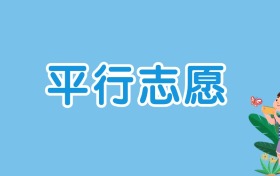 湖北新高考45个平行志愿：一场关于选择的 “饱和式救援”