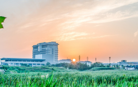 2026湖南公费师范生报考政策!附国家+地方公费师范生分配去向表