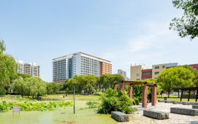 2026云南公费师范生报考政策！附国家+地方公费师范生分配去向表