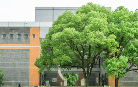 2026贵州专项计划报考条件及定向地区（含国家+地方+高校）