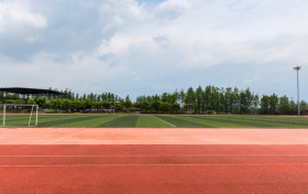 上海本科大学招生人数、录取率、学费代码、就业前景（2026参考）