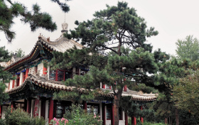 2026河南警校报考指南：含招生院校、体检要求、录取分数线等