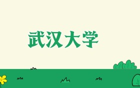 武汉大学河南招生计划人数及专业代码：含本科批、国家专项（2026参考）