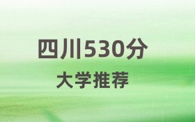 四川历史类530分可以读什么大学？2026年能上双一流、公办本科