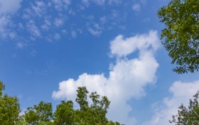 张雪峰谈草学类：最吃香的三个专业是什么？