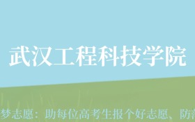 贵州高考多少分能上武汉工程科技学院？附2024年最低录取分数线