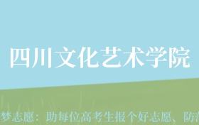 贵州高考多少分能上四川文化艺术学院？附2024年最低录取分数线