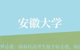 新疆高考多少分能上安徽大学？附2022-2024年最低录取分数线