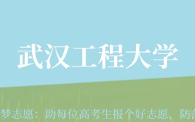 宁夏高考多少分能上武汉工程大学？附2022-2024年最低录取分数线