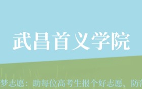 新疆高考多少分能上武昌首义学院？附2022-2024年最低录取分数线