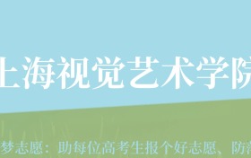 重庆高考多少分能上上海视觉艺术学院？附2024年最低录取分数线