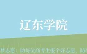 新疆高考多少分能上辽东学院？附2022-2024年最低录取分数线