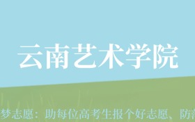 重庆高考多少分能上云南艺术学院？附2024年最低录取分数线