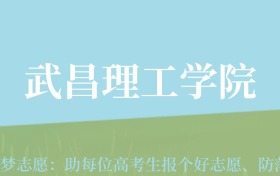 新疆高考多少分能上武昌理工学院？附2022-2024年最低录取分数线