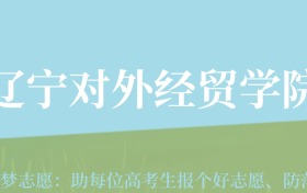 云南高考多少分能上辽宁对外经贸学院？附2022-2024年最低录取分数线