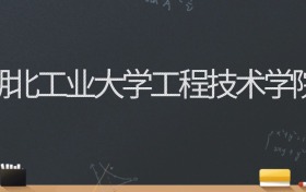 湖北工业大学工程技术学院2024录取分数线：最低462分