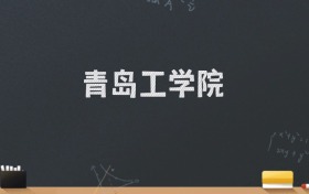 青岛工学院2024录取分数线：最低462分