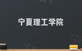 宁夏理工学院2024录取分数线：最低462分