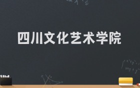 四川文化艺术学院2024录取分数线：最低308分