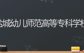 盐城幼儿师范高等专科学校2024录取分数线：最低315分