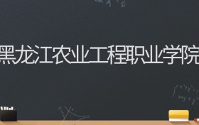 黑龙江农业工程职业学院2024录取分数线：最低304分