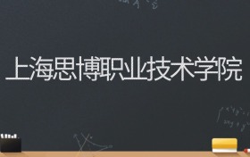 上海思博职业技术学院2024录取分数线：最低220分