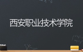 西安职业技术学院2024录取分数线：最低397分