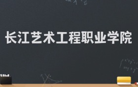 长江艺术工程职业学院2024录取分数线：最低220分