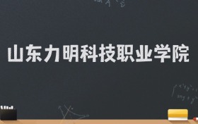 山东力明科技职业学院2024录取分数线：最低324分