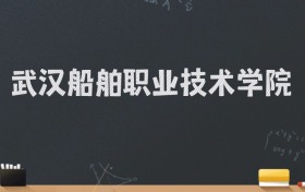 武汉船舶职业技术学院2024录取分数线：最低315分