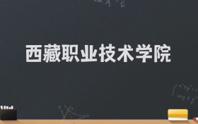 西藏职业技术学院2024录取分数线：最低220分